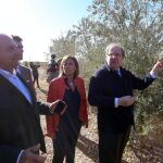 El presidente Herrera y Milagros Marcos visitan, los olivos de Valdecuevas junto a su propietario Antonio Martín
