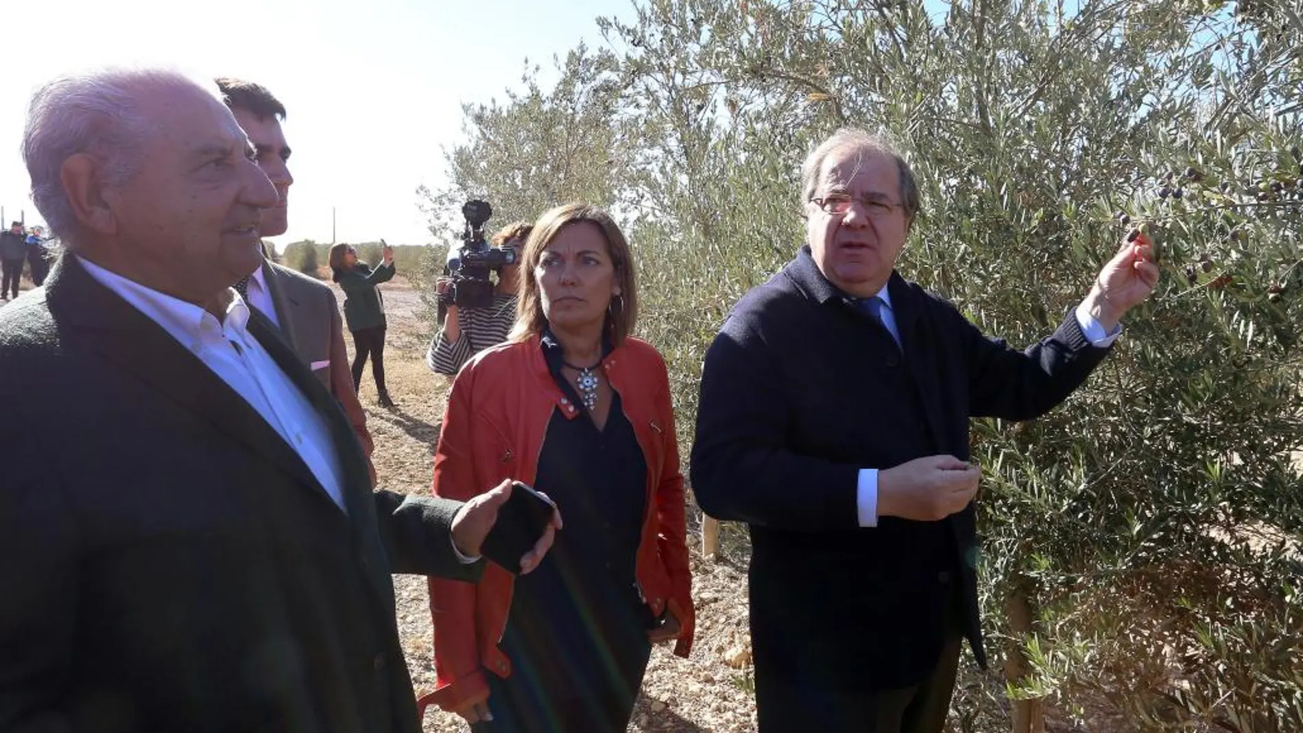 El presidente Herrera y Milagros Marcos visitan, los olivos de Valdecuevas junto a su propietario Antonio Martín