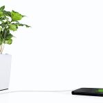 Si no se atreve a cultivar, puede aprovechar las plantas que tiene por casa para transformarlas en cargadores del móvil y ahorrar un poquito en la factura de la luz
