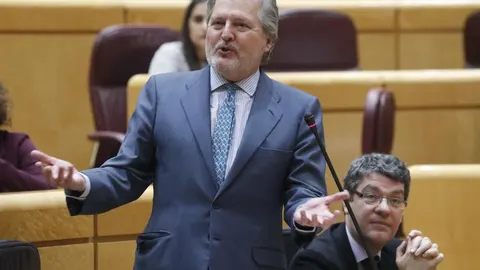 El ministro de Educación, Íñigo Méndez de Vigo, durante su intervención en la sesión de control al Gobierno, hoy en el Senado.