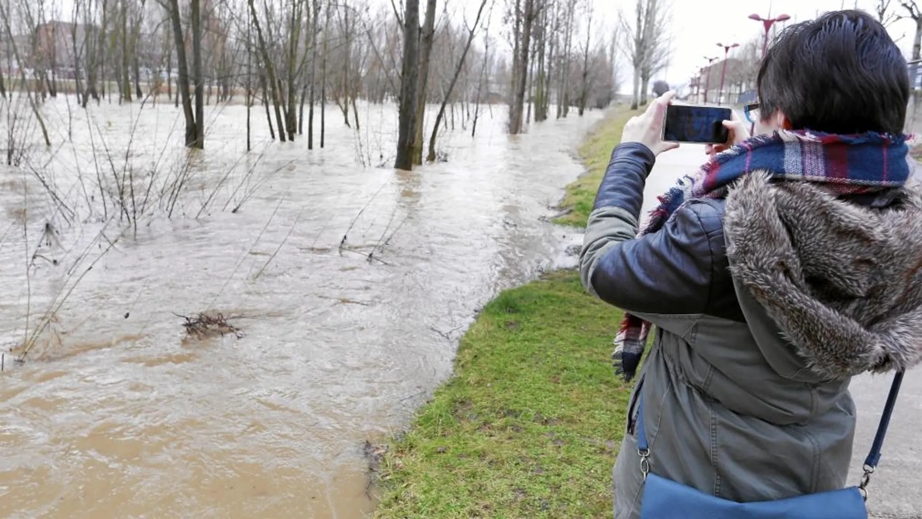 Crecida del río Bernesga a su paso por Puente Castro (León)