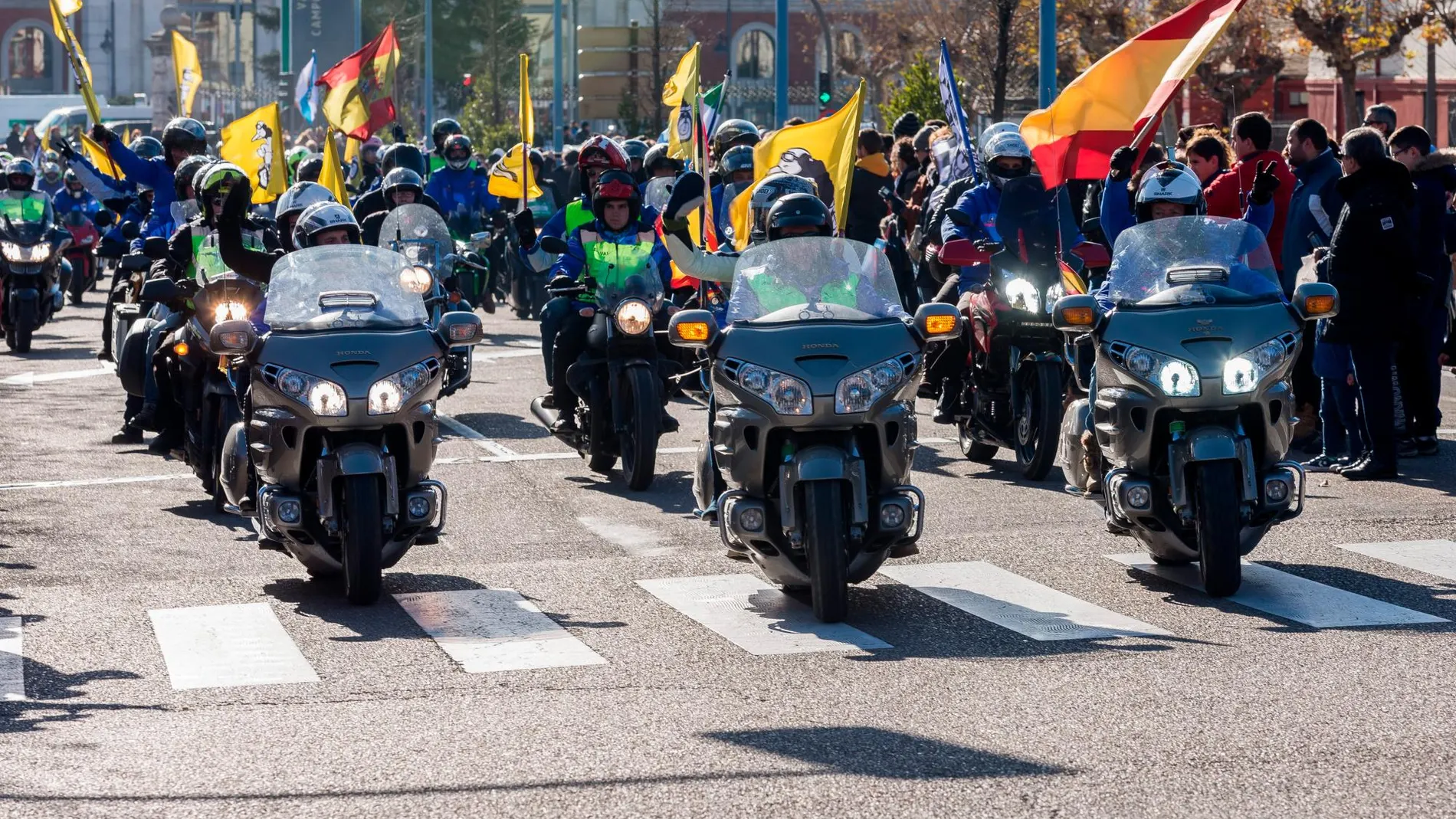 Cabecera del Desfile de Banderas de Pingüinos en Valladolid