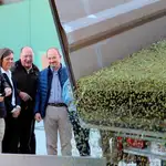  Milagros Marcos apuesta por el olivo con nuevas variedades pero más resistentes