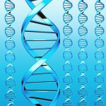 Lo que el ADN decide por nosotros