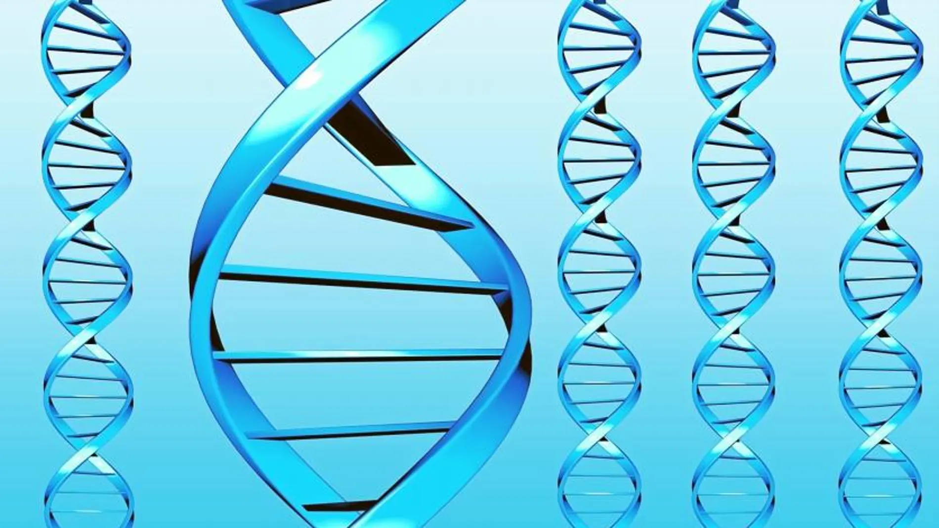 Lo que el ADN decide por nosotros