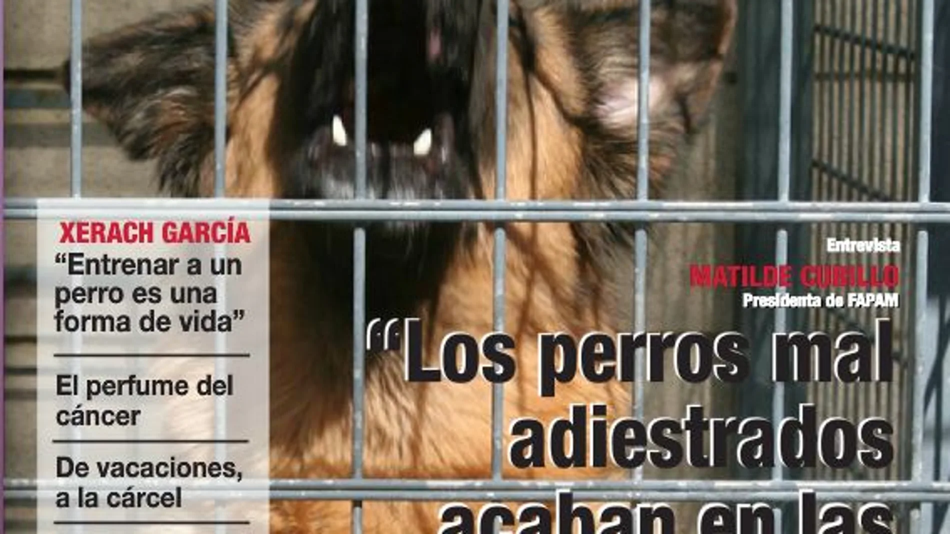 El número dos de Ladridos denuncia la falta de educación en los perros
