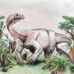 Recontrucción artística de Ledumahadi mafube. Otro dinosaurio sudafricano, Heterodontosaurus tucki, lo observa / Viktor Radermacher