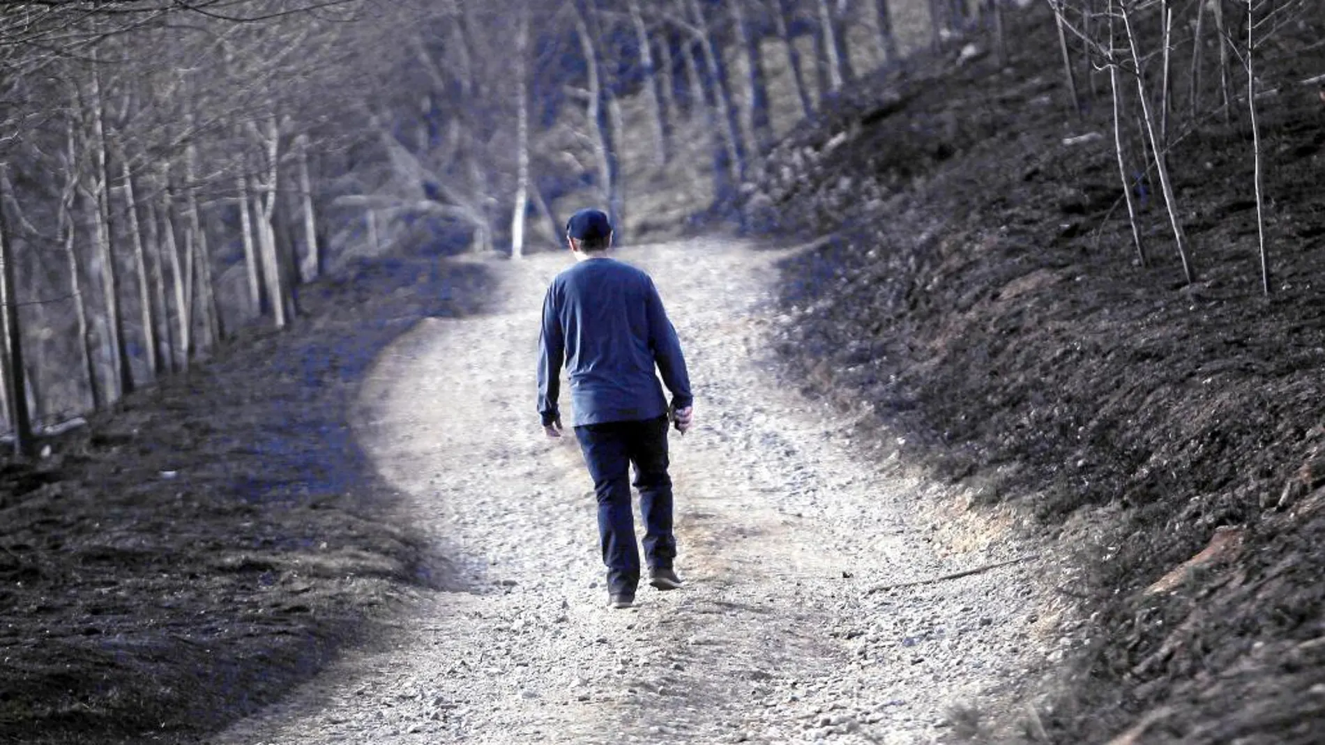 Un vecino camina en una zona de monte de Igantzi, en Navarra