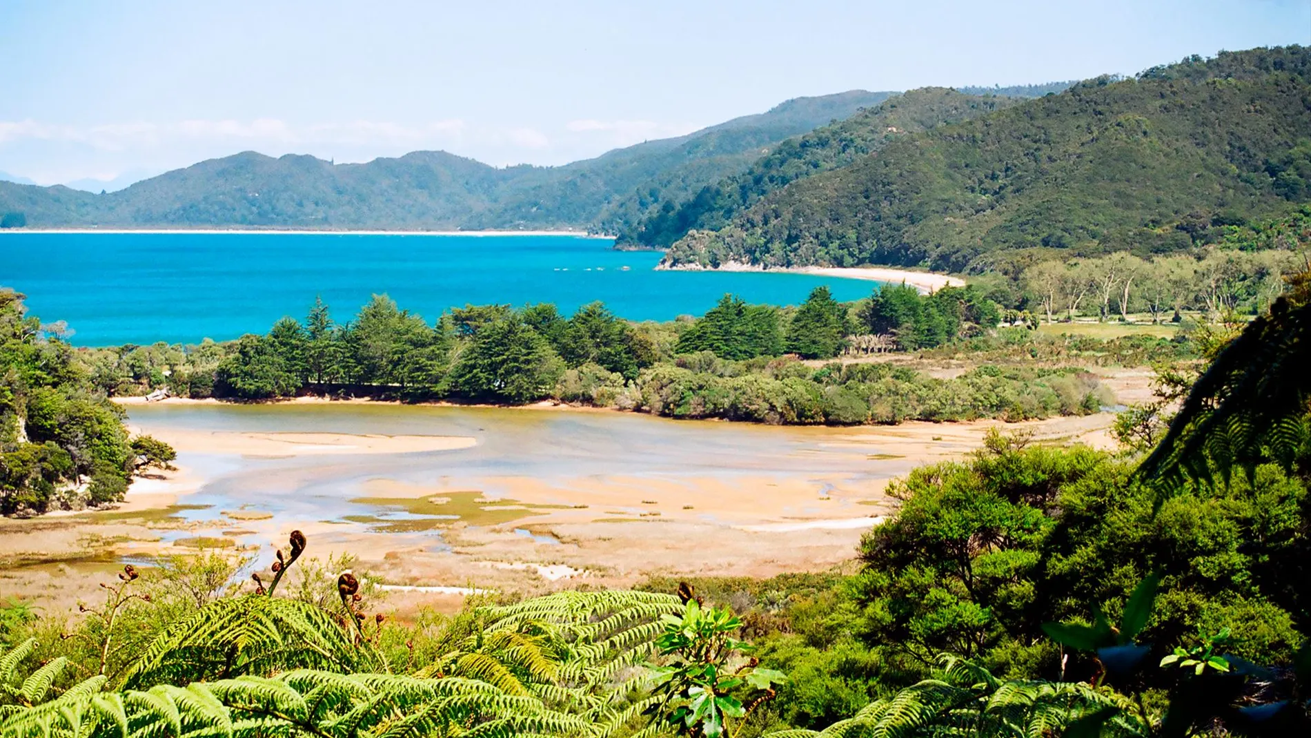 El Parque Nacional de Abel Tasman de Nueva Zelanda/Dreams