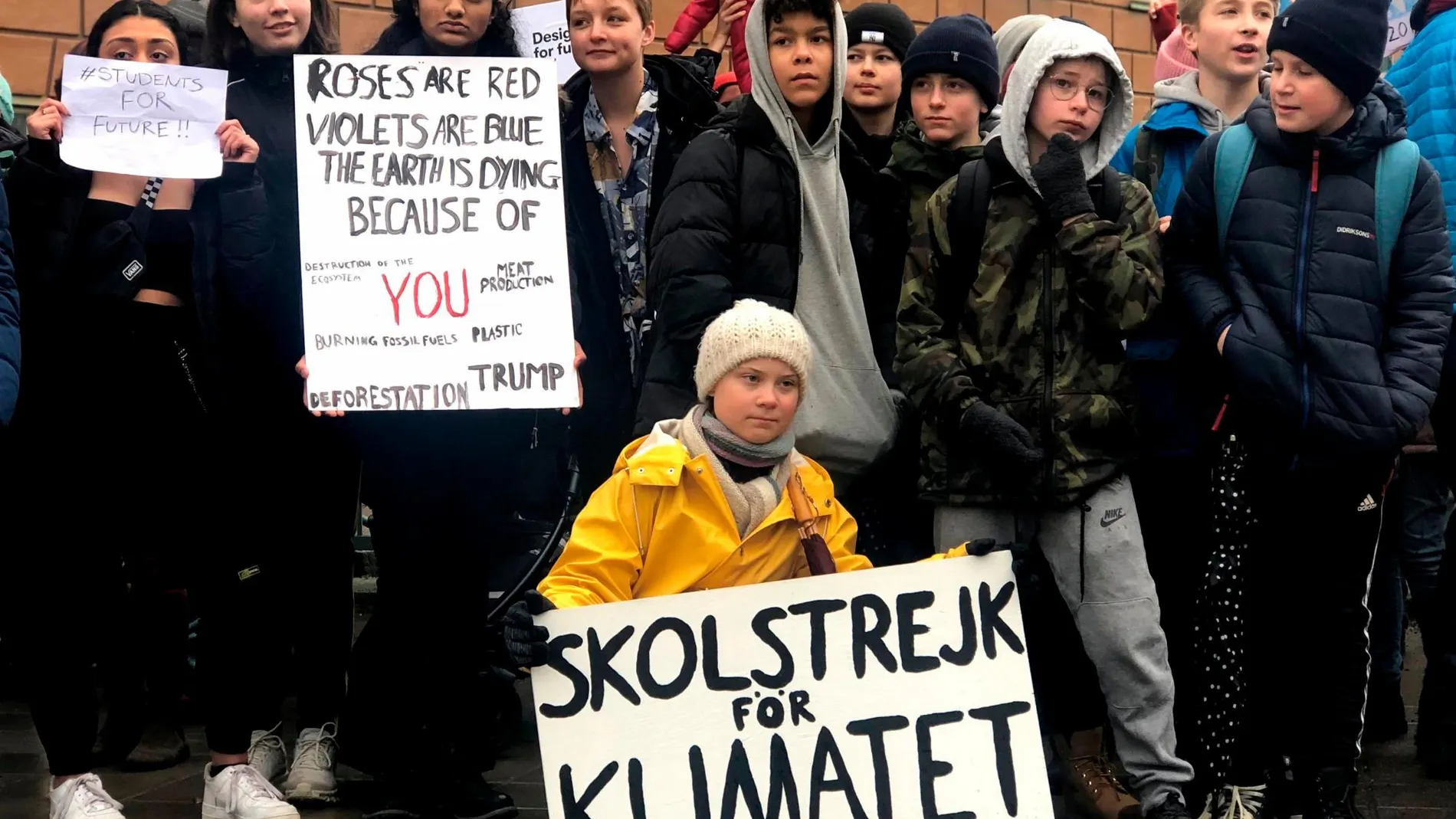 La joven activista sueca, Greta Thunberg