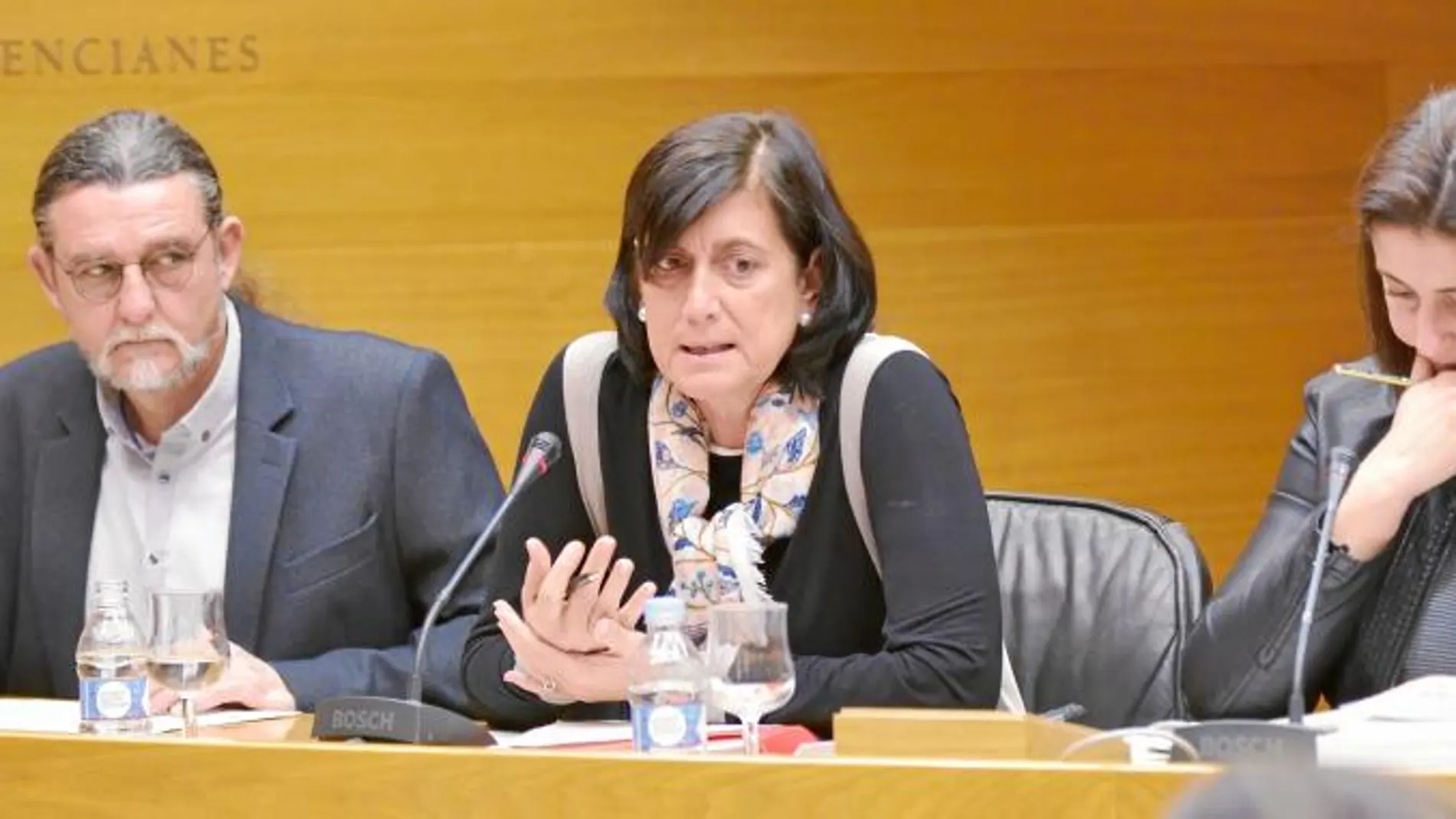 Marisa Gracia se dirige a los diputados durante la sesión de la comisión de investigación celebrada en 2016 y por cuyo dictamen reclama ahora mas de 260.000 euros