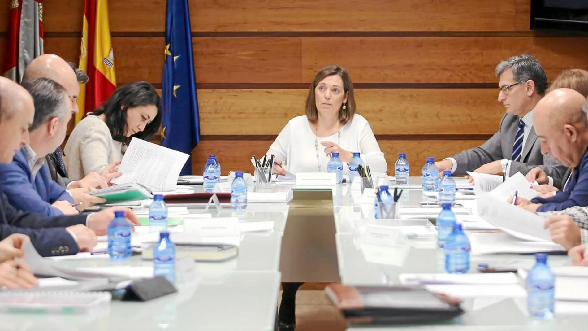 La consejera de Agricultura y Ganadería, Milagros Marcos, preside el Consejo Regional Agrario