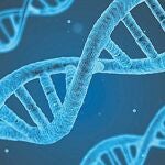 Una ilustración computarizada de la estructura de doble hélice del ADN
