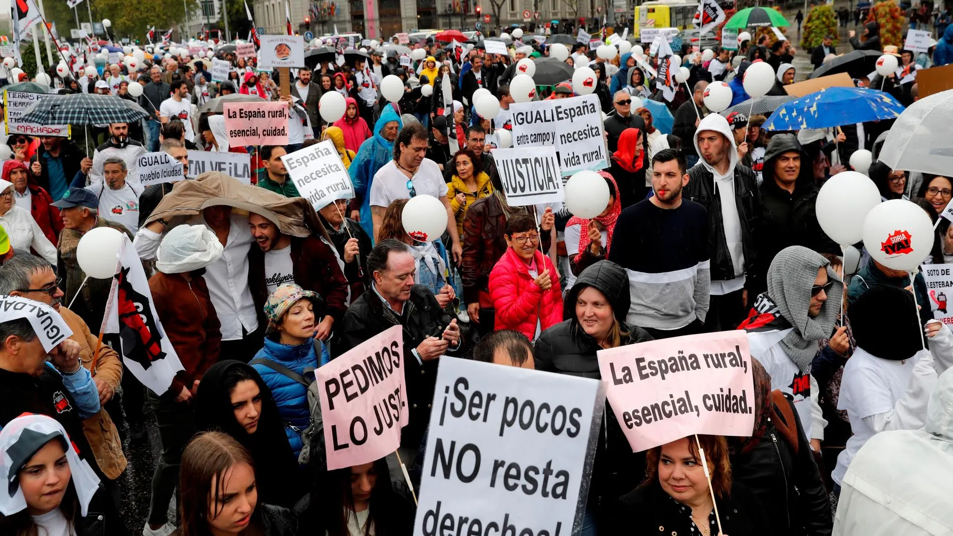 La marcha ha arrancado desde las inmediaciones de la Plaza de la Colón de Madrid con una participación multitudinaria