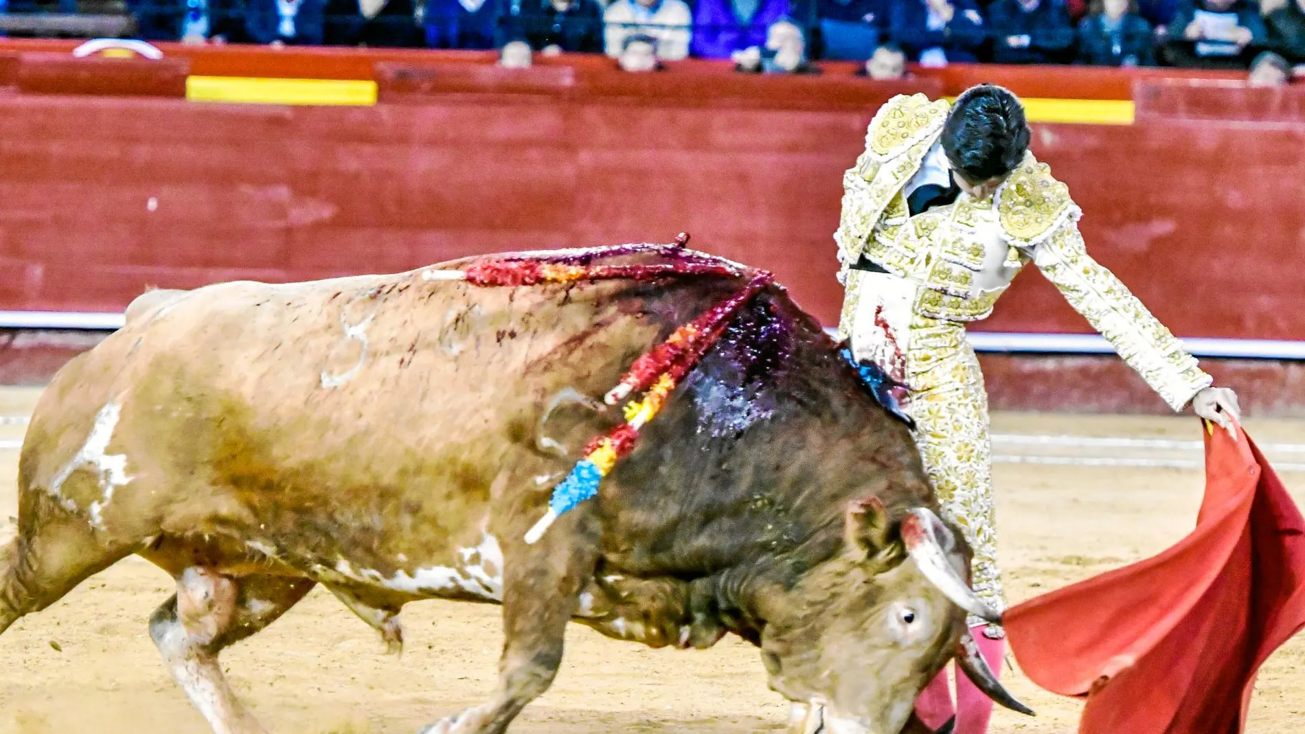 Pablo Aguado, ayer en un tremendo natural en Valencia