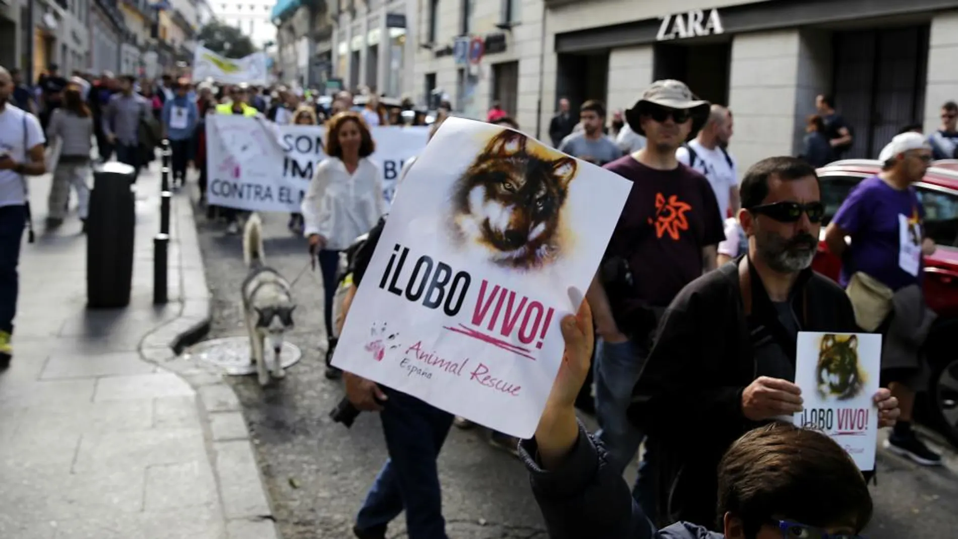 Manifestación en defensa del lobo por las calles de Madri