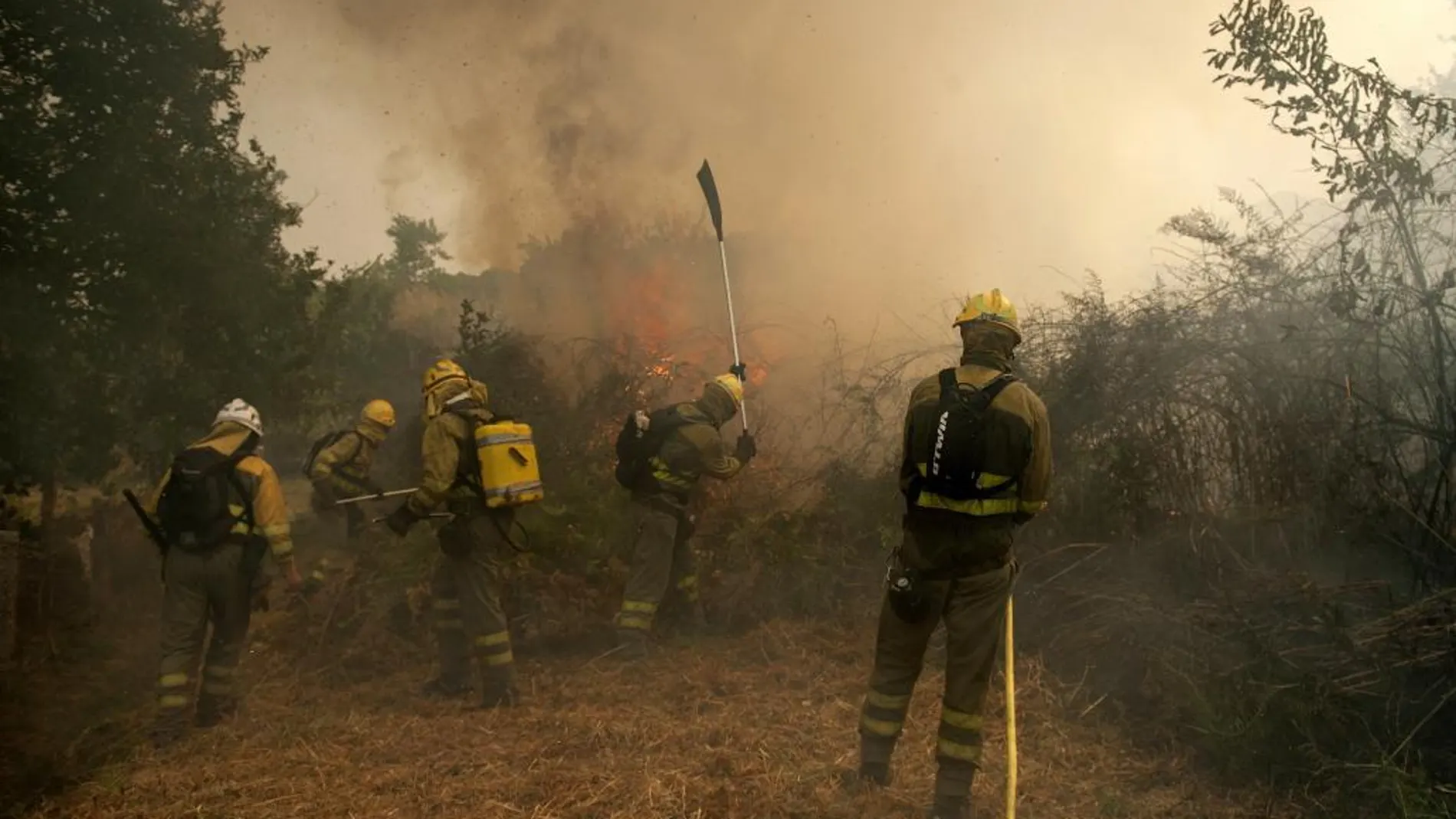 Varios brigadistas durante las labores de extinción de un incendio en Lobios
