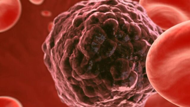 Las células madre no tienen por qué prevenir del enfermo