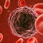 Las células madre no tienen por qué prevenir del enfermo