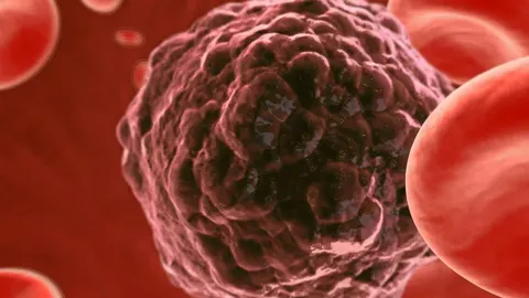 Las células madre no tienen por qué prevenir del enfermo