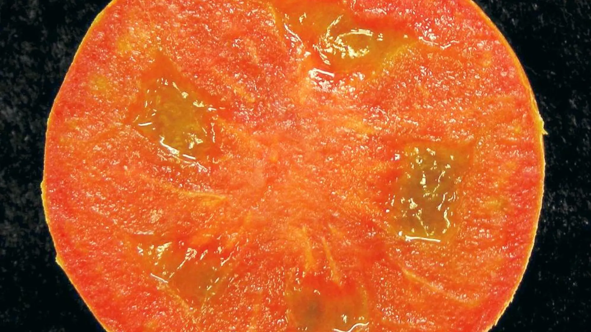Fruto sin semillas del mutante «hydra» de tomate