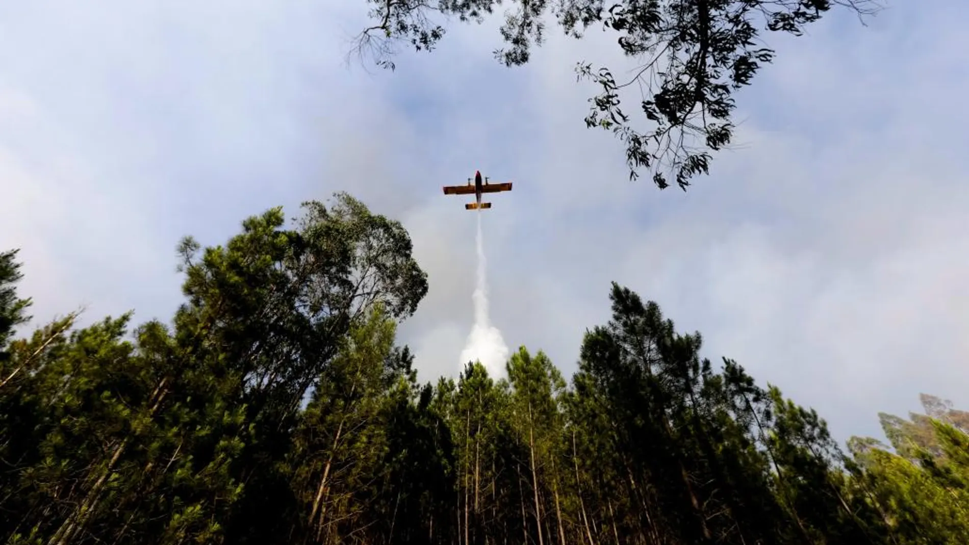 Un avión esparce agua sobre un incendio forestal