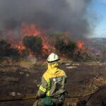 Varios brigadistas durante las labores de extinción del incendio forestal declarado a las 19:23 horas de ayer en San Cristovo de Cea (Ouense)
