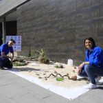 Limpieza en el Guadalquivir para concienciar por el Día del Agua