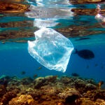 Peces y bolsas de plástico comparten espacio en el arrecife de coral que rodea el complejo turístico ‘Naama Bay’, en el mar Rojo, Egipto