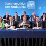 El PP-A celebró ayer una reunión del Comité Ejecutivo Regional en Sevilla para perfilar su estrategia en los próximos meses