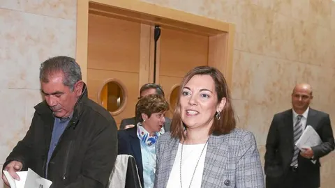 Milagros Marcos, ayer, tras presentar el decálogo a los grupos parlamentarios