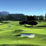 Beca Management golf