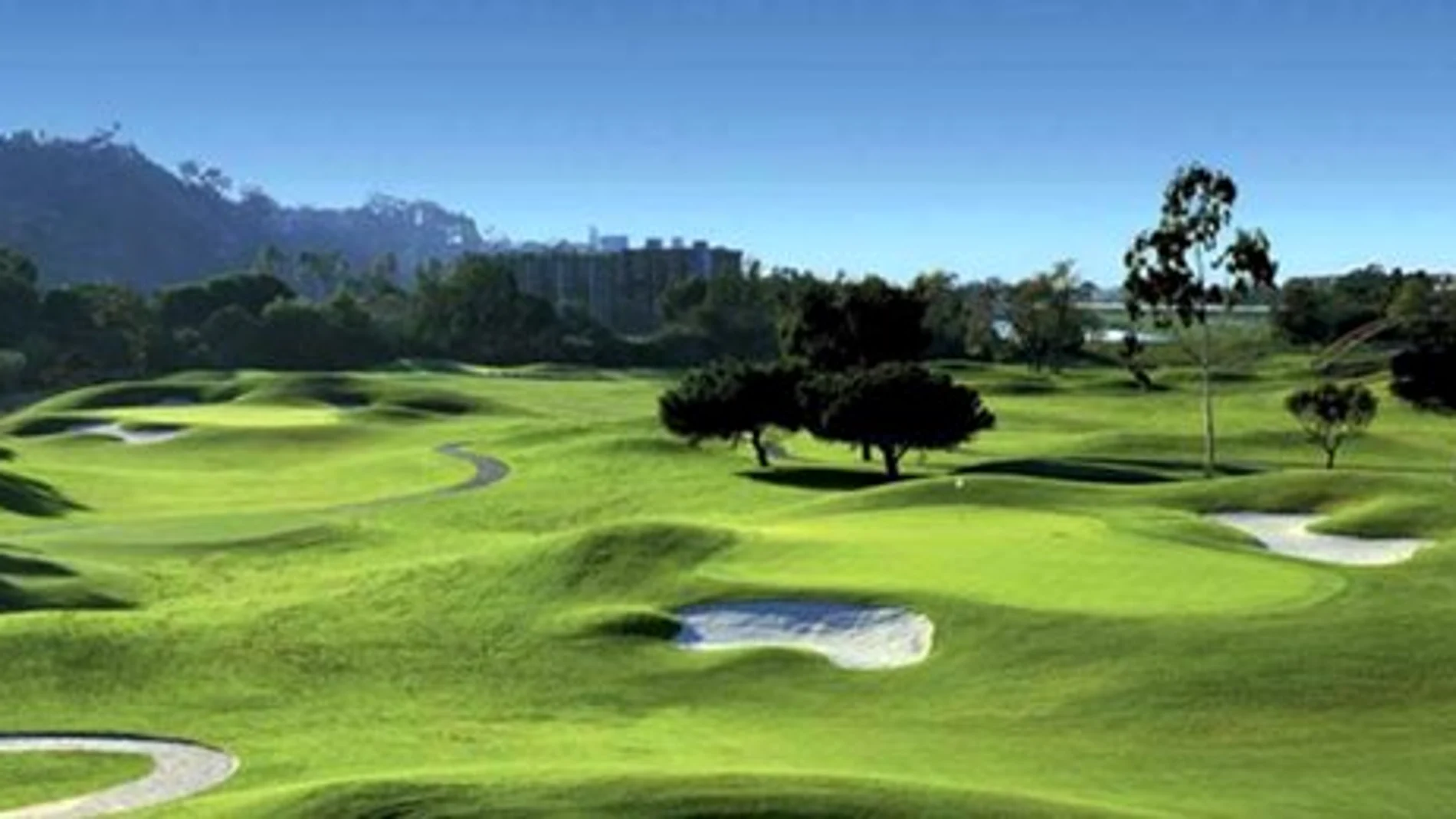 Beca Management golf