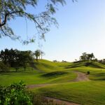 Resumen de golf del verano
