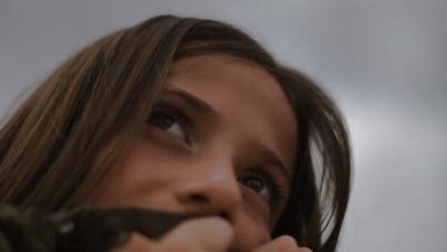 Los humanos son cada vez más insensibles a contenidos violentos o sexuales