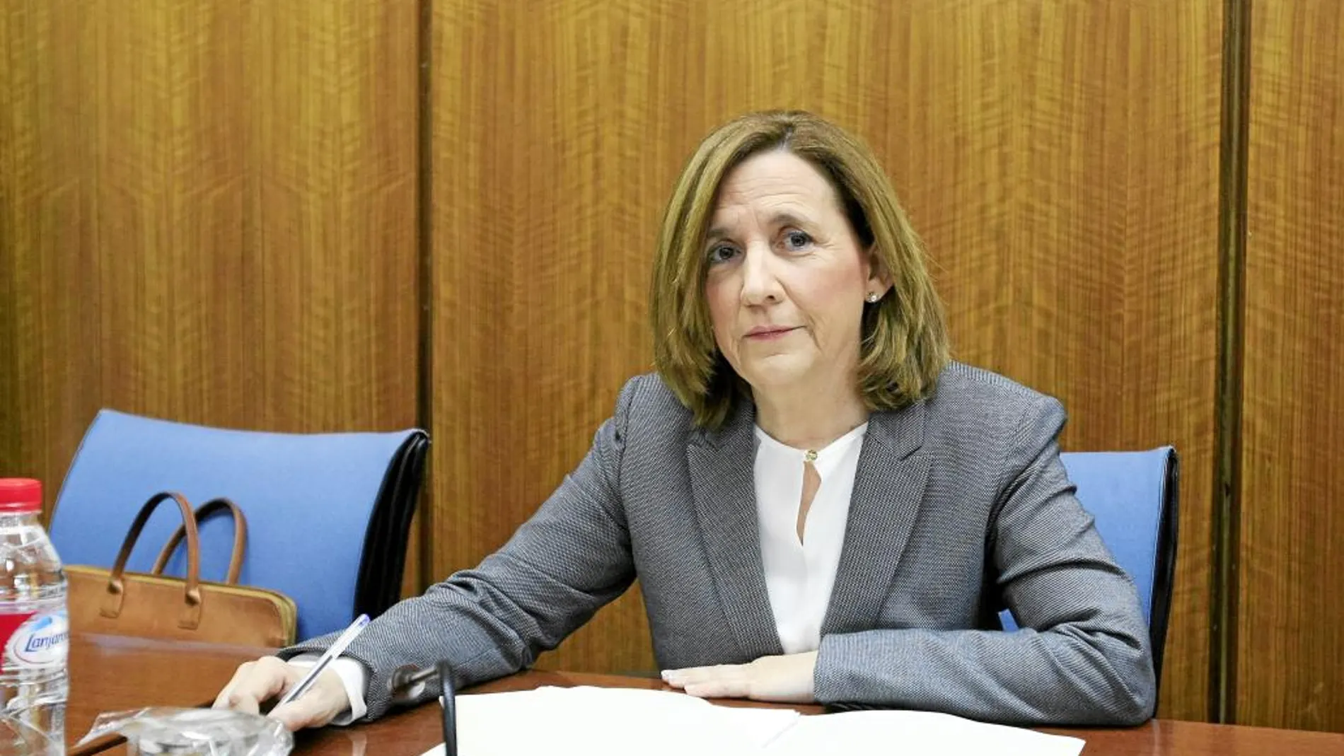 La interventora adjunta del área de Control y Fondos Europeos, María Teresa Arrieta, ayer en la Cámara