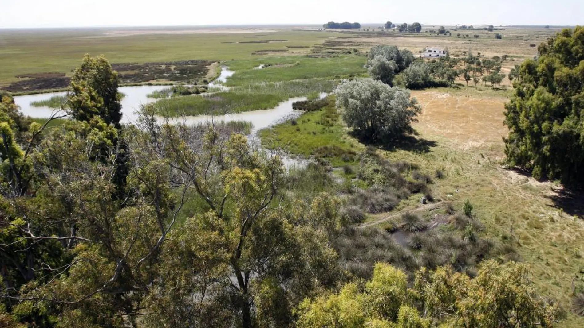 Doñana, en una imagen de archivo