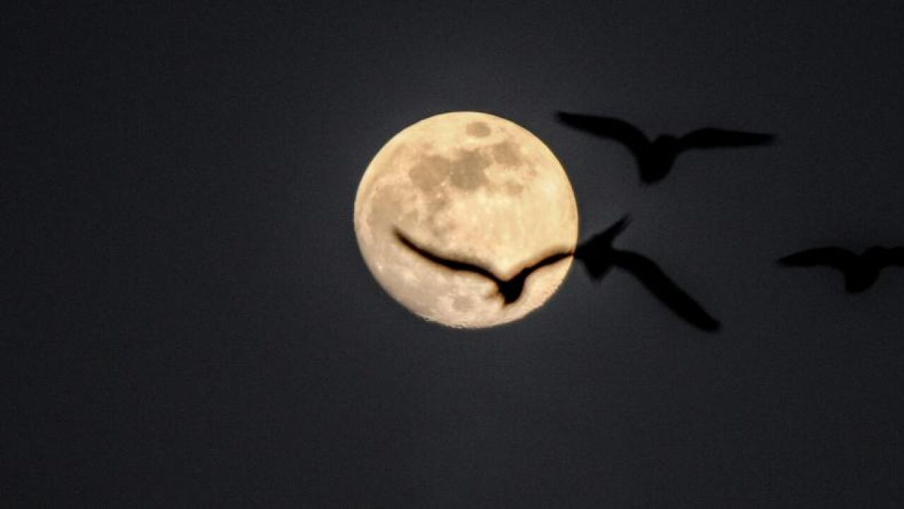 Calendario lunar 2024 cuándo será la luna llena de febrero