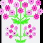 Remedios naturales para dormir