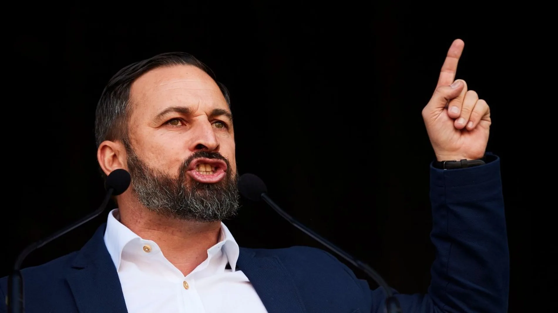 Santiago Abascal, líder de Vox, en una imagen de archivo / Efe