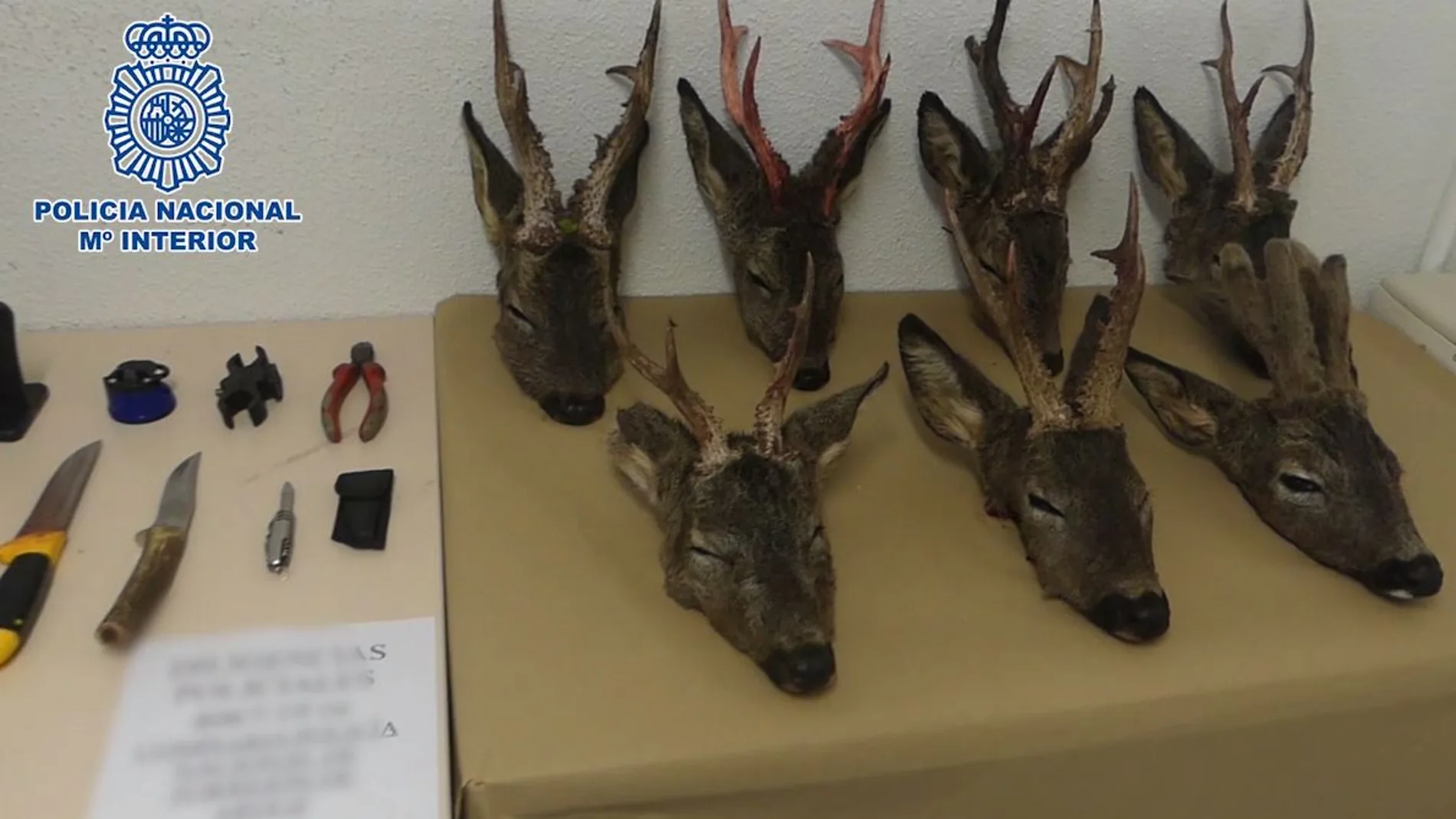 Los cazadores portaban siete cabezas de corzo / Foto: Policía Nacional