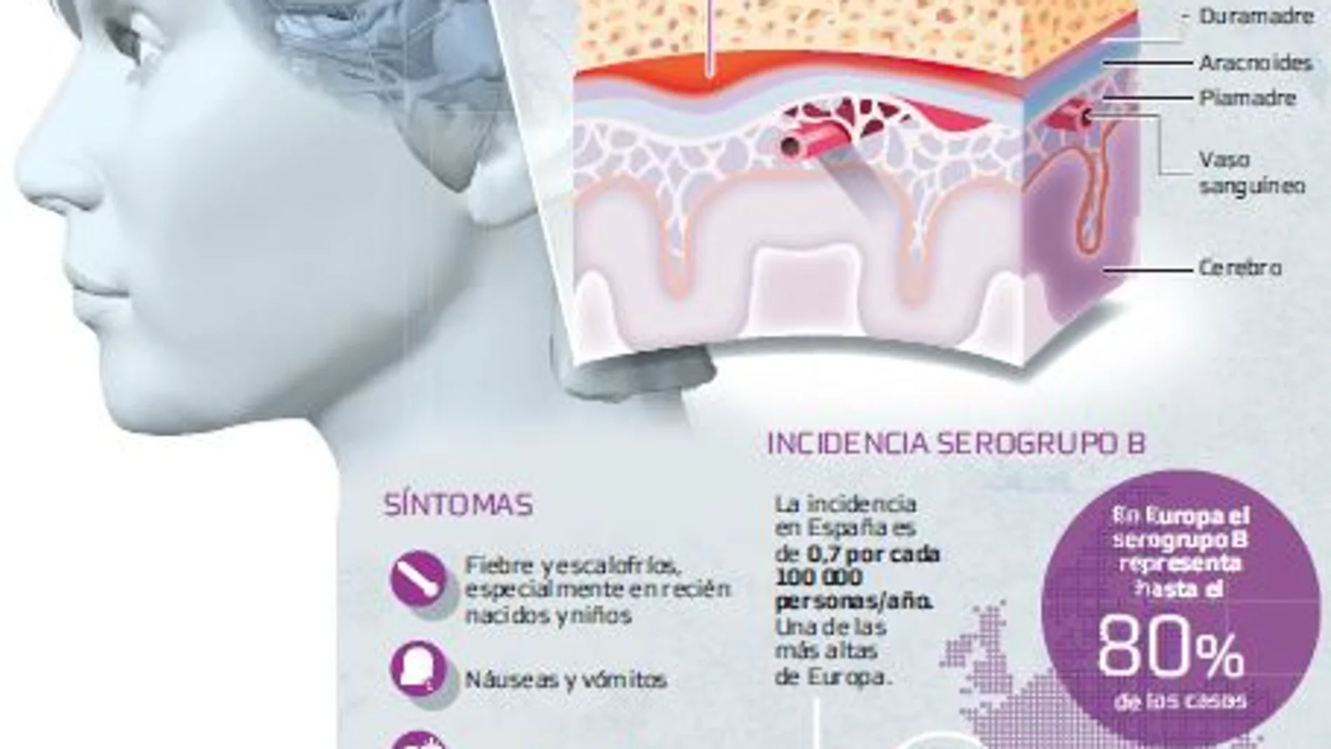 La única protección frente a la meningitis B