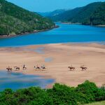 Paseos a caballo en Sudáfrica, una experiencia familiar para este verano