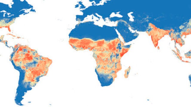Distribución mundial prevista de ‘Aedes aegypti’. ELife