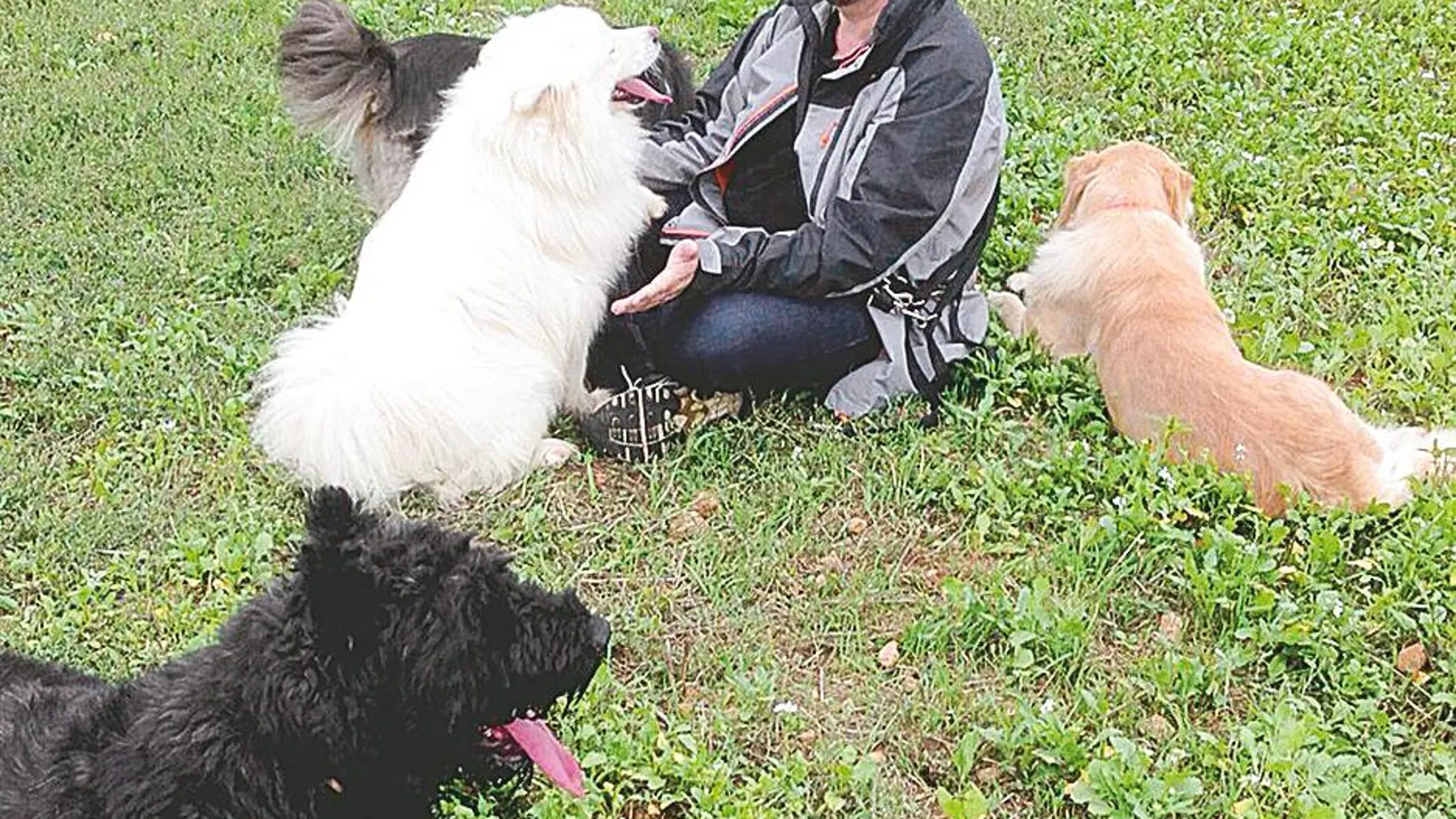 Álex Rovira, jugando con sus mascotas