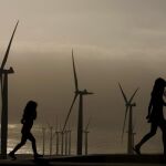 ¿Son compatibles los parques eólicos y las áreas protegidas marinas?