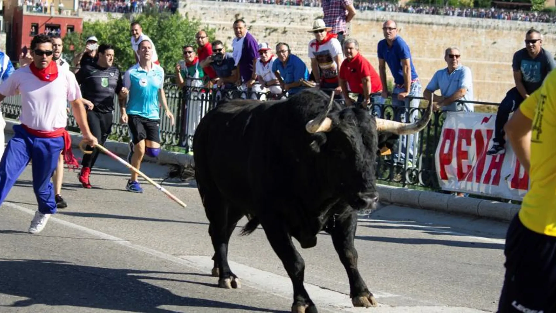 La localidad vallisoletana de Tordesillas celebra un año más el tradicional festejo del Toro de la Vega