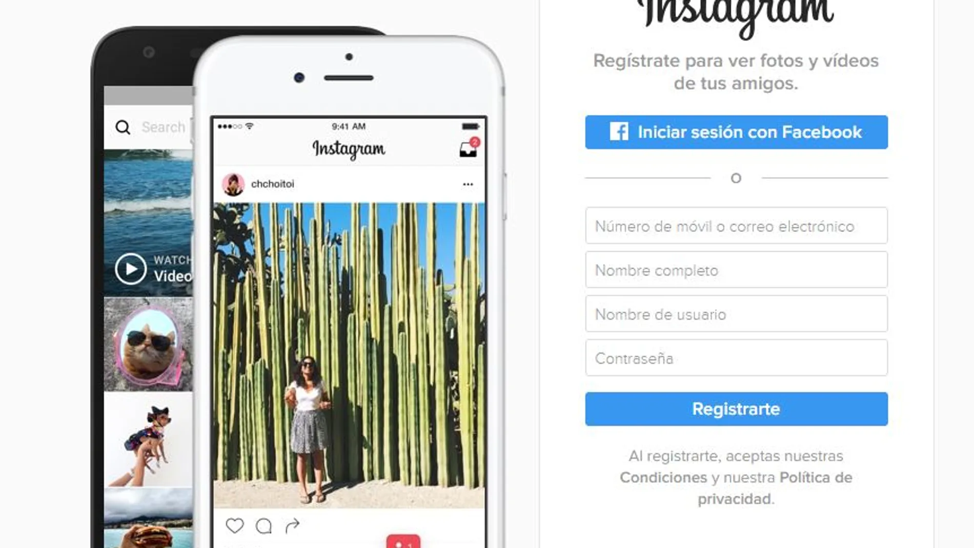 Instragram, la red social capaz de democratizar tu imagen