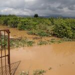 Las inundaciones en las provincias de Sevilla y Málaga han sido la «excusa» para prorrogar la situación de funcionarios interinos en la administración durante doce meses / Foto: Efe