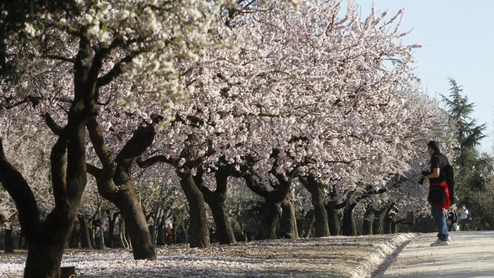 Diez consejos para sobrevivir a la primavera